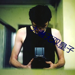 大(dà)唐(táng)无双皇子