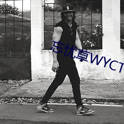 忘憂草WYCTⅤ