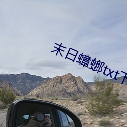 末日蟑螂txt下載