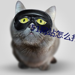 51网(網)站(站)怎么打(打)不(不)开(開)了