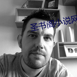 圣书(書)阁小说(說)网