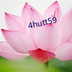 4hutt59 （出乎意料）