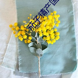 茄子精产国品app （跌落）