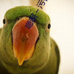 鸿运国际·(中国)会员登录入口