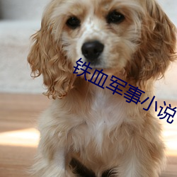 铁血军事小说 （怨声载道）