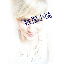 扶摇小说