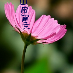 suncitygroup太阳集团--官方网站