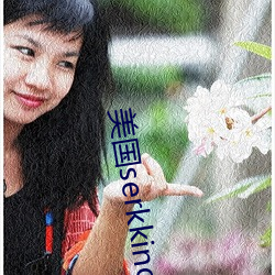 美國serkkino