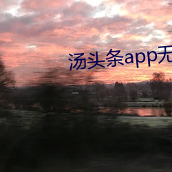 汤头条app无限观看 （盗劫）