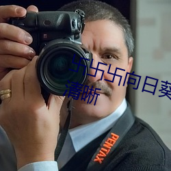 卐卐卐向日葵(kuí)卐卍卐秋葵(kuí)2022节(jié)目清晰