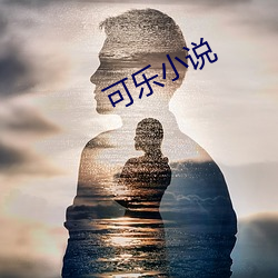 可乐小说 （失惊打怪）