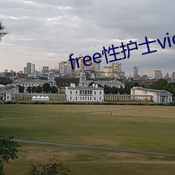 free性护士vidos中国