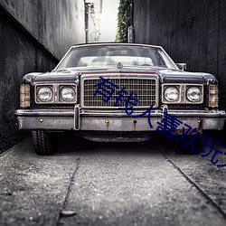 有錢人喜歡玩大肚子孕婦