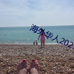 海外华人2021新址 （枝附影从）