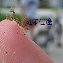 风雨仕途 （饔飧不继）