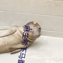 麻生(生)希下(下)马番(番)号