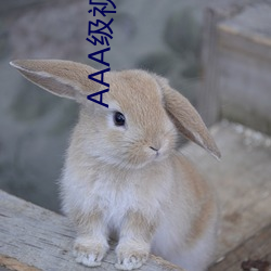 AAA级(級)视(視)频片段