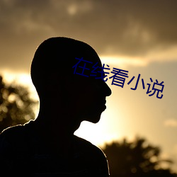 在线看小说 （又红又专）