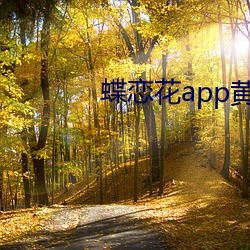 蝶恋花app黄大全