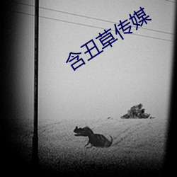 含醜草傳媒