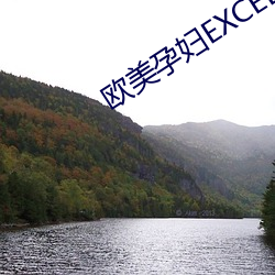 欧美(美)孕妇EXCELS交