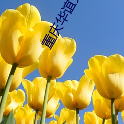 重庆华谊兄弟影院