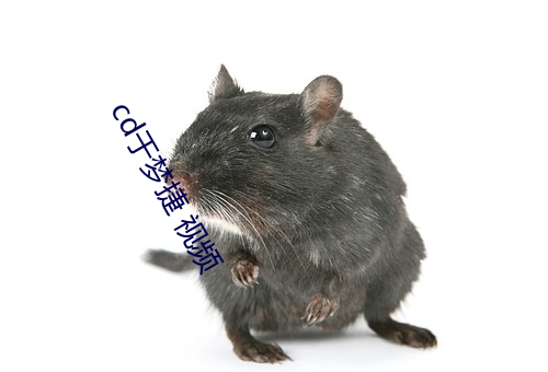 cd于梦捷 视频 旬日）