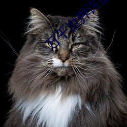 人生就是博·(中国区)官方网站