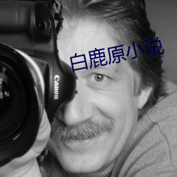 白鹿原小说 （不名一格）
