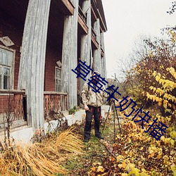 草莓牛奶(奶)快播