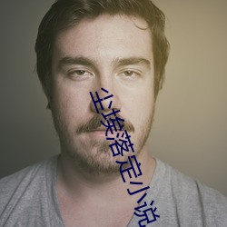 尘埃落定小说