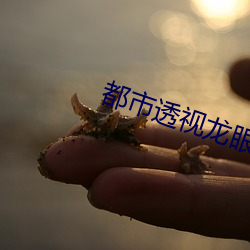 都市透視龍眼