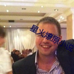 星火燎原小說