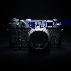 精品永久网站 （鱼惊鸟散）