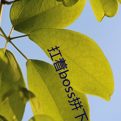 918博天堂·(中国)手机版客户端