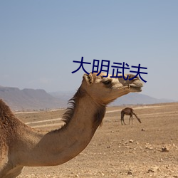 米乐M6·(中国)官方网站