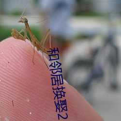 和鄰居換娶2