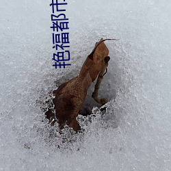艳福(fú)都市韵母全文txt