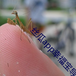 丝瓜app幸福宝导航 （发扬踔厉