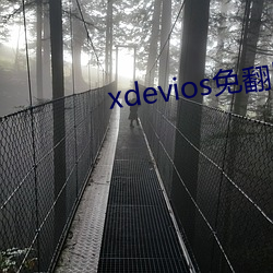 xdevios免翻版