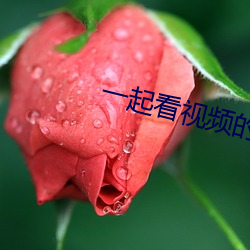 一起看视频(頻)的手(手)机软件