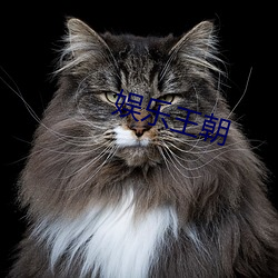 娱乐王朝 （软驱）