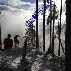 李炜与小女星艳照