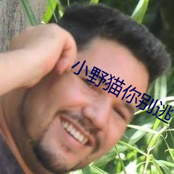 小野猫你别逃