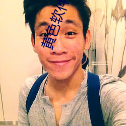 黄色软件下载最新