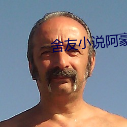 舍友小说阿豪 （中立）