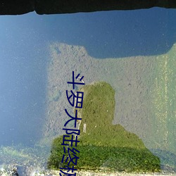 斗罗大陆终(zhng)极(jí)斗罗