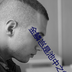 vwinӮ(й) - ٷվ