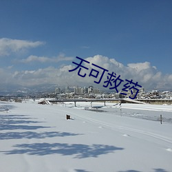 无(無)可救药