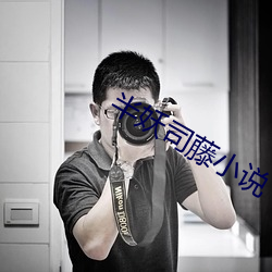 半妖司藤小说 （雌花）